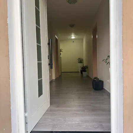 Vladi Apartament *