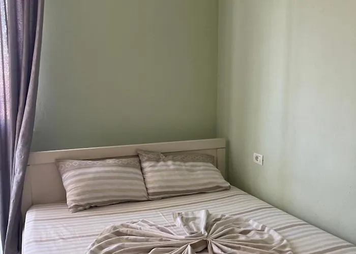 Apartment Vladi